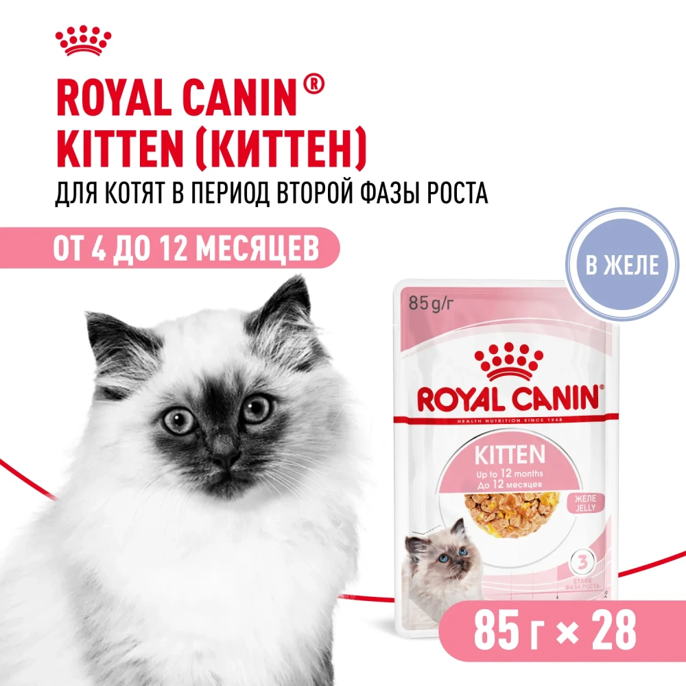 Влажный корм Royal Canin Kitten (Киттен) для котят до 12 месяцев в желе 28*85г