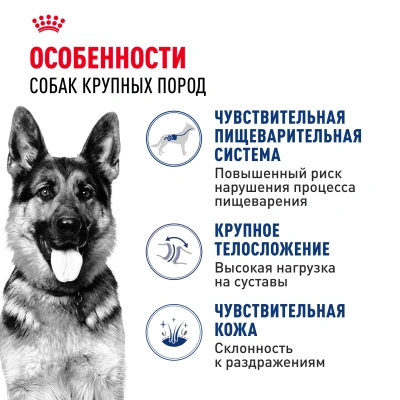 Сухой корм Royal Canin Maxi Adult для собак крупных пород старше 15 месяцев  3 кг