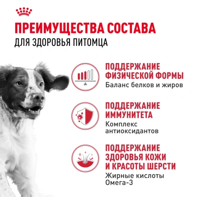 Royal Canin Medium Adult Корм сухой для взрослых собак средних пород с 12 месяцев до 7 лет, 15 кг