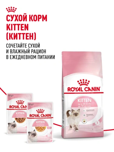 Royal Canin Консервированный корм для котят 4-12 месяцев, кусочки в соусе, 85 г