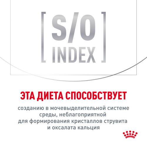 Royal Canin Gastro Intestinal Сухой корм для кошек с заболеваниями печени и ЖКТ острого и хронического характера, 400 г