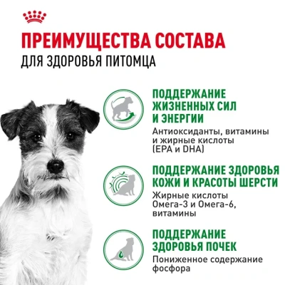 Влажный корм  Royal Canin Mini Ageing 12+, для собак  мелких пород 12+ в  соусе, 85г