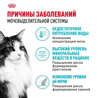 Royal Canin Urinary Care Корм сухой для взрослых кошек для профилактики мочекаменной болезни, 2 кг