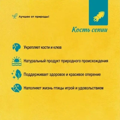 RIO Кость сепии (панцирь каракатицы) 1 шт размер XL 25 гр блистер