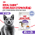 Royal Canin Sterilised Консервированный корм для стерилизованных кошек, в желе, 28*85 г