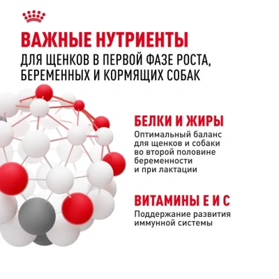 Сухой корм Royal Canin Mini Starter Mother & Babydog для щенков и беременных мелких пород 1 кг
