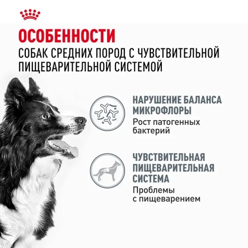 Сухой корм Royal Canin DIGESTIVE CARE для собак средних пород для поддержания пищеварит. системы 3кг