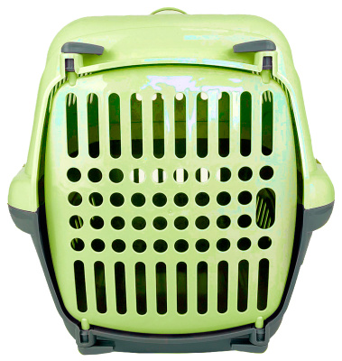 Зооэкспресс 17213, переноска "Турне" S с пласт.дверцей 42*29*29,5 см зеленая