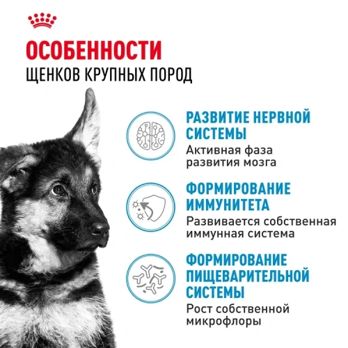 Сухой корм Royal Canin Maxi Puppy для щенков крупных пород  с курицей, 3 кг
