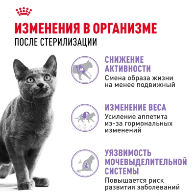 Royal Canin Sterilised 37 Сухой корм для стерилизованных кошек 1-7 лет, 10 кг