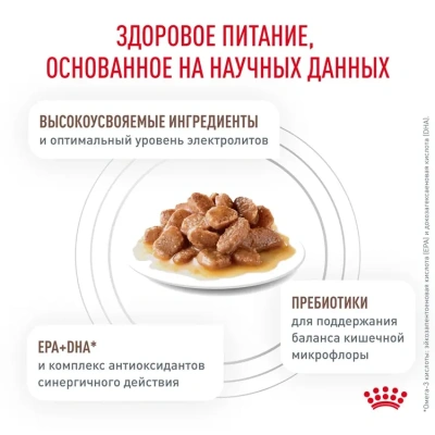 Влажный диетический корм для кошек Royal Canin Gastro Intestinal кусочки в соусе, 85 г