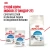Влажный корм Royal Canin Indoor Sterilised 7+ для кошек в желе 85г