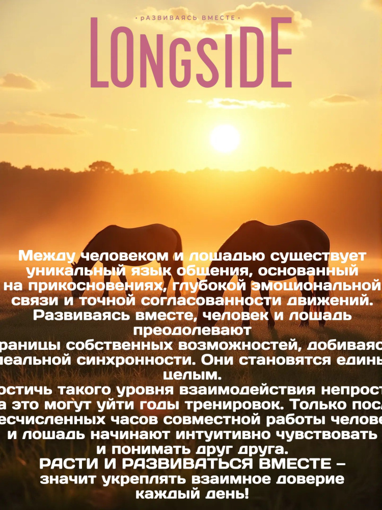 Лакомство для лошадей LONGSIDE, укрепляющее доверие. Садовое яблоко