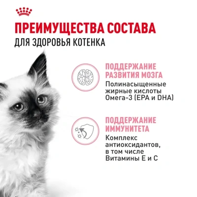 Royal Canin Консервированный корм для котят 4-12 месяцев, кусочки в соусе, 85 г