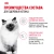 Влажный корм Royal Canin для котят ( 5 в соусе 5 в желе) 10*85г