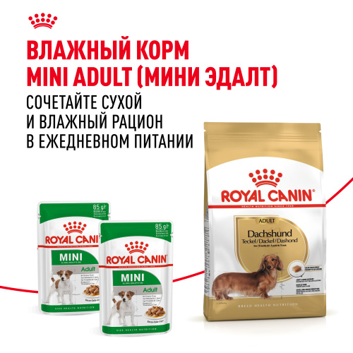 Сухой корм Royal Canin для взрослых собак породы Такса 1,5 кг