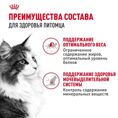 Влажный корм Royal Canin для кошек (5 инстинкт+5 стерил) 10*85г