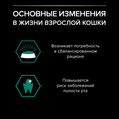 Влажный корм PRO PLAN для кошек  Курица в соусе  85г