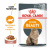 Royal Canin Intense Beauty Care Консервированный корм для кошек - красивая шерсть, соус, 85 г