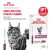 Влажный корм Royal Canin Renal для кошек, при хронич. почечной недостаточности с рыбой в соусе, 85г Влажный корм Royal Canin Renal для кошек, при хронич. почечной недостаточности с рыбой в соусе, 85г