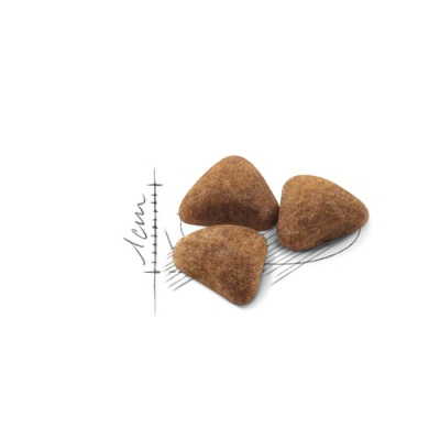 Royal Canin Indoor 27 Сухой корм для взрослых кошек (до 7 лет) живущих в помещении, 400 г