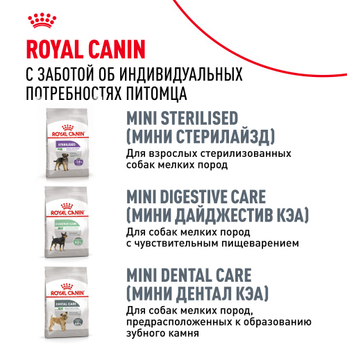 Royal Canin Pomeranian Adult Сухой корм для собак породы Померанский шпиц, 500 г