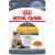 Влажный корм Royal Canin Hair&Skin Care для здоровья кожи и красоты шерсти ломтики в желе 28*85 г