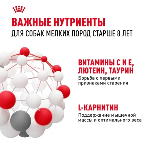 Сухой корм Royal Canin Adult Mini для пожилых собак мини пород 8+, 2 кг