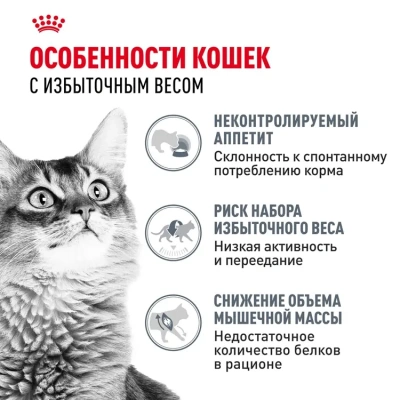 Влажный корм Royal Canin Light weight care для кошек при кошек при избыточном весе, желе 85г