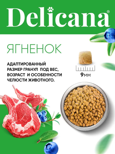 Сухой корм DELICANA для кошек с ягненком 0,4 кг 