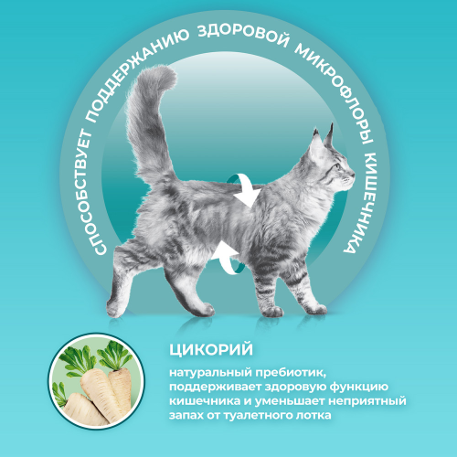 Сухой корм Purina ONE для кошек с чувствительным пищеварением, с высоким содержанием индейки, 1,5 кг