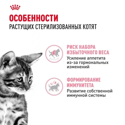 Влажный корм Royal Canin Kitten Sterilised, корм для стерилизованных котят в соусе, 28*85 г