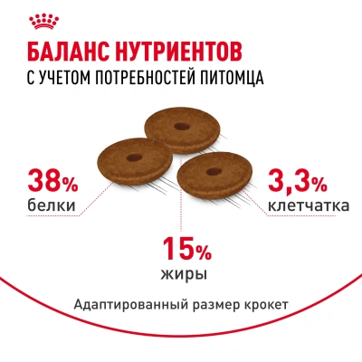 Royal Canin Digestive Care Сухой корм для взрослых кошек с расстройствами пищеварительной системы, 4