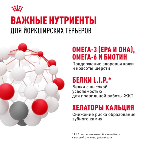 Royal Canin Adult Yorkshire Terrier Сухой корм для взрослых собак породы Йоркширский терьер, 1,5 кг