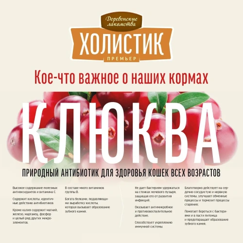 Сухой корм Деревенские лакомства Холистик Премьер для кошек при чувств пищеварении индейка 2 кг