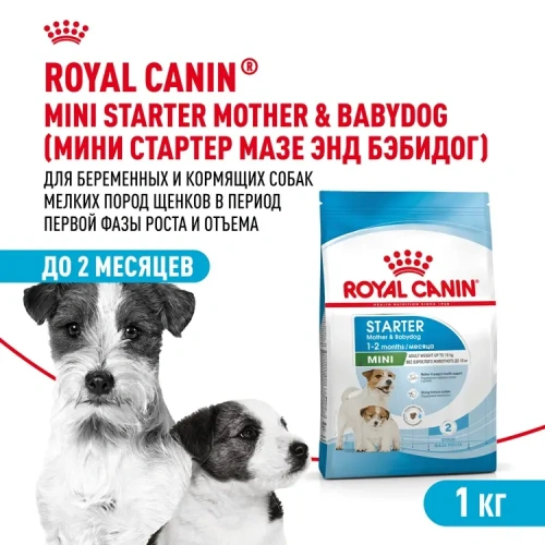 Сухой корм Royal Canin Mini Starter Mother & Babydog для щенков и беременных мелких пород 1 кг