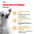 Royal Canin Chihuahua Adult Сухой корм для собак породы Чихуахуа, 1,5 кг