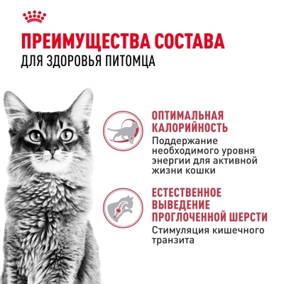 Сухой корм Royal Canin Fit 32 для кошек для вывода шерсти и с умеренной активностью 400+160 г.