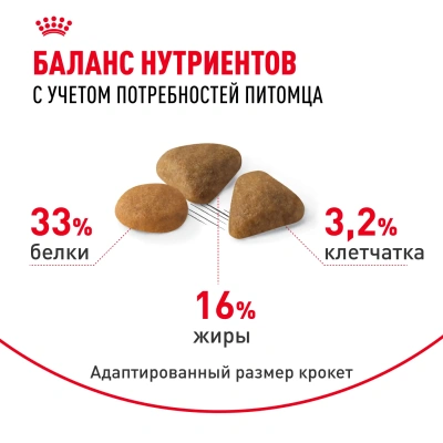 Royal Canin Savour Exigent  Сухой корм для взрослых кошек привередливых к вкусу, 2 кг