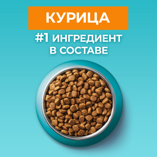 Сухой корм Purina ONE для стерилизованных кошек и котов живущих в домашних условиях с курицей, 750 г