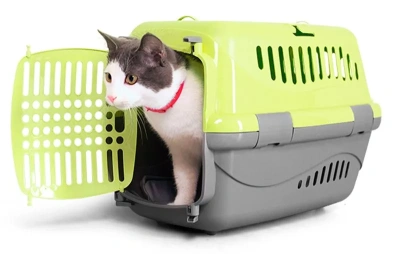 16223 Переноска для животных "Турне" M с пласт. дверцей (коврик + ремень) 48*32*32 см зеленая