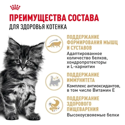 Влажный корм Royal Canin Maine Coon Kitten, корм для котят породы мейн-кун в соусе, 28*85 г