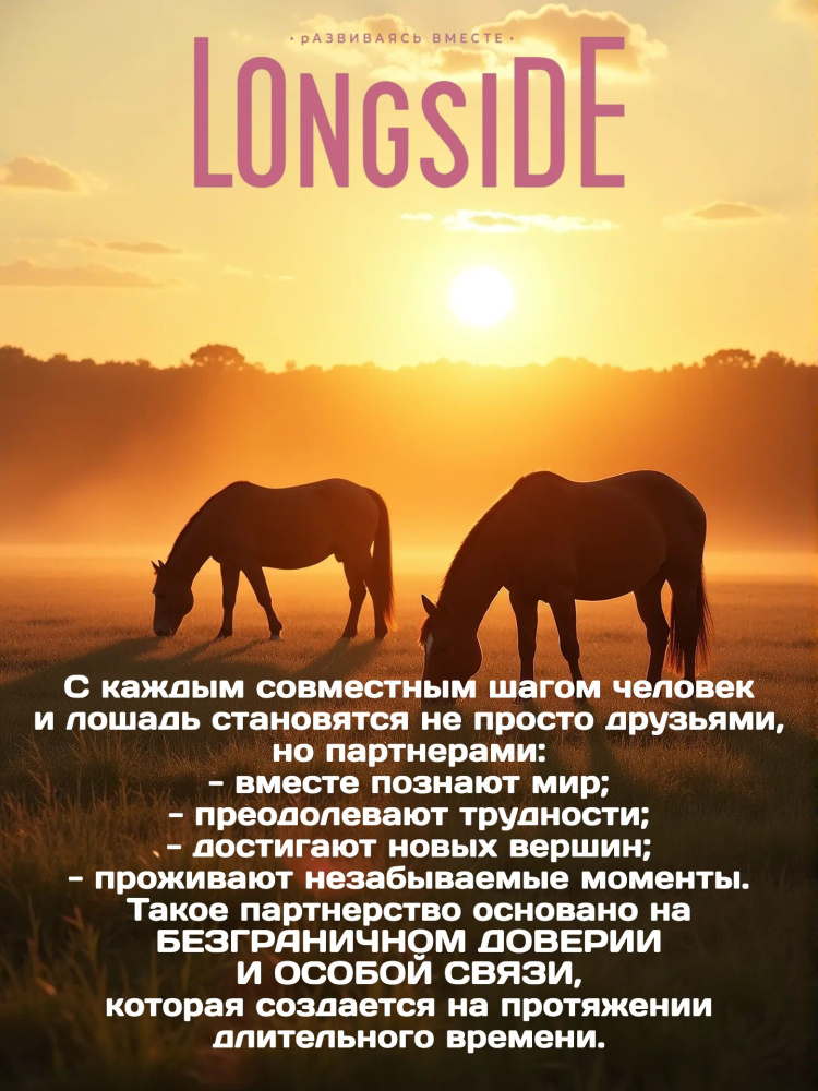 Лакомство для лошадей LONGSIDE, укрепляющее доверие. Садовое яблоко