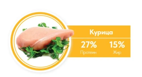 Сухой корм 1st Choice для пожилых кошек Mature or Less Active, цыплёнок, 2.72 кг