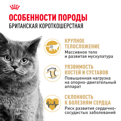 ROYAL CANIN British Shorthair Корм сухой для кошек породы Британская короткошерстная, 2 кг