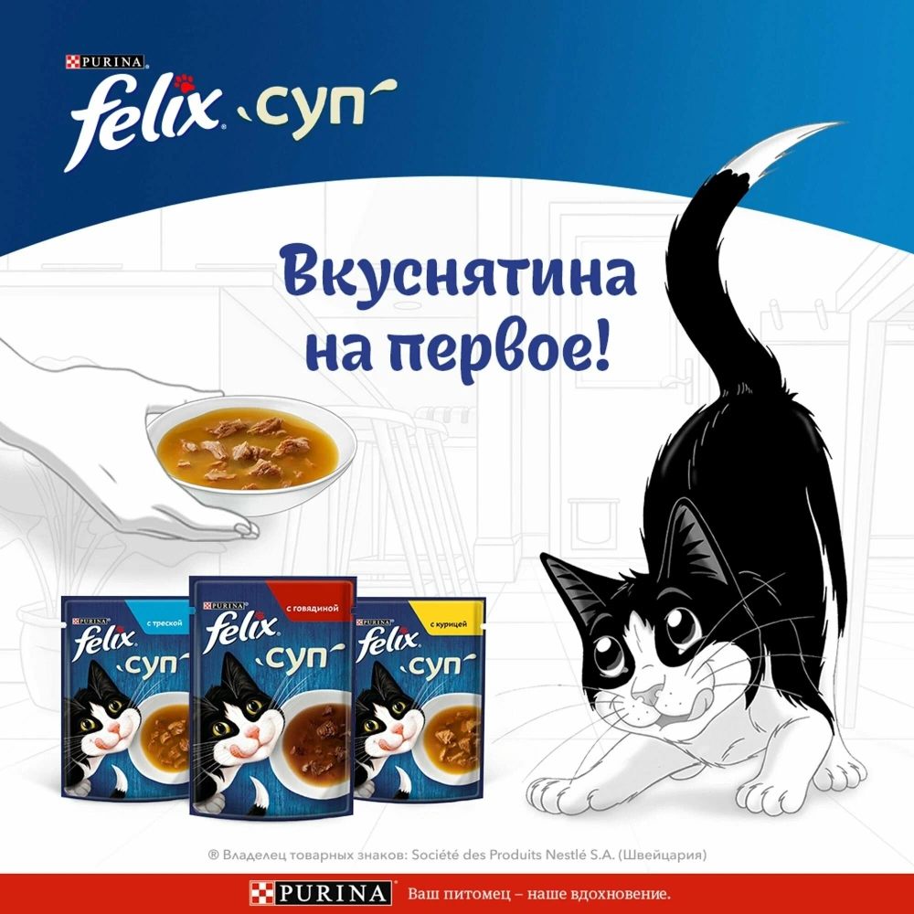 Влажный корм Felix Суп Курица 36x48г