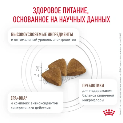 Royal Canin Gastrointestinal Сухой ветеринарный корм для кошек с нарушениями пищеварения, 2 кг
