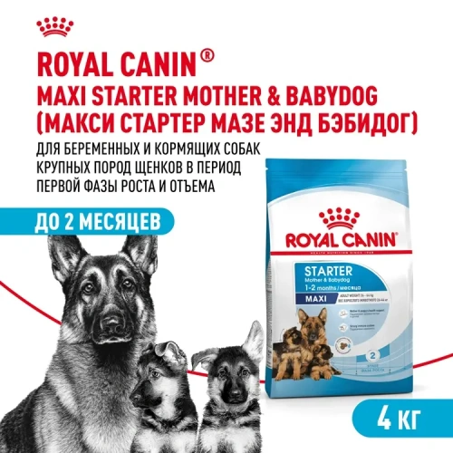 Сухой корм Royal Canin Maxi Starter для щенков крупных пород, беременных и кормящих 4 кг