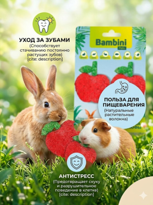Игрушка Bambini Pets для грызунов "Яблочки" из люфы, 2 шт 