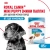 Влажный корм Royal Canin для щенков минипород в соусе 85 г.